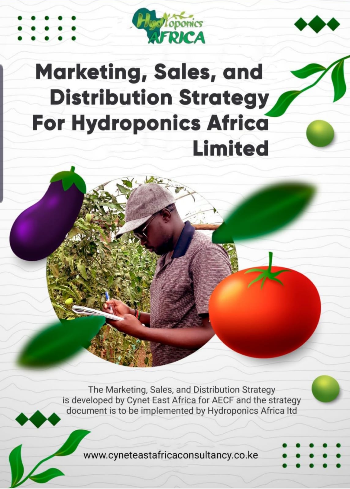 Marketing sales and Distribution Strategy: Hydroponics Africa