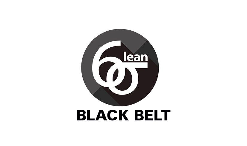 Training on Lean Six Sigma Black Belt